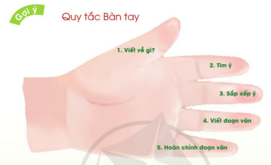 Quy tắc bàn tay