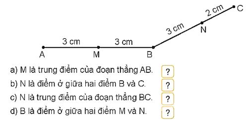 Giải Hoạt động bài 1 trang 50 SGK Toán 3 tập 1 KNTT