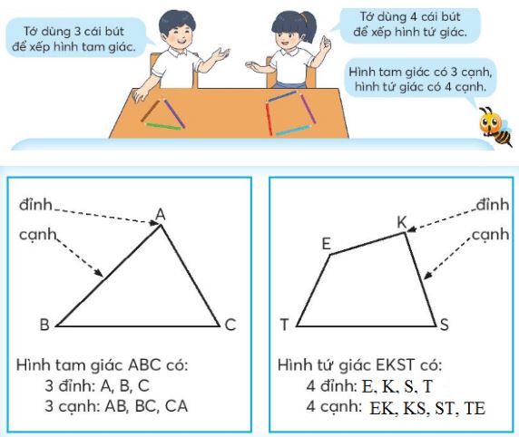 Hình tam giác, hình tứ giác