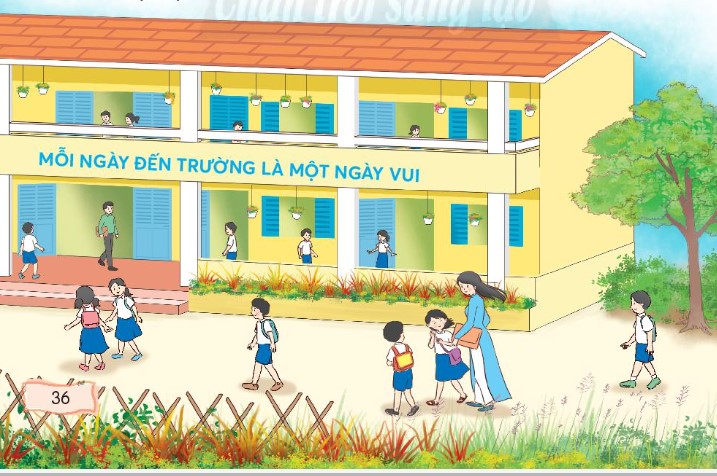 Hoa cỏ sân trường