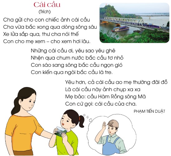 Cái cầu