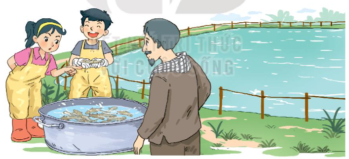 Giải Luyện tập bài 4 trang 72 SGK Toán 3 tập 2 KNTT