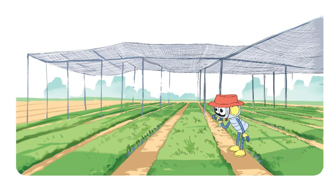Giải Luyện tập bài 4 trang 96 SGK Toán 3 tập 2 KNTT