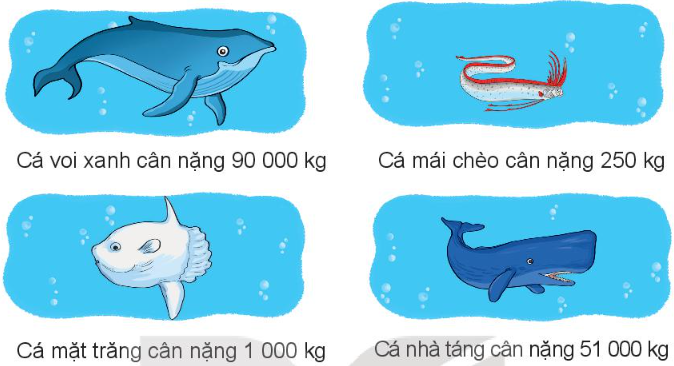 Giải Luyện tập bài 4 trang 113 SGK Toán 3 tập 2 KNTT